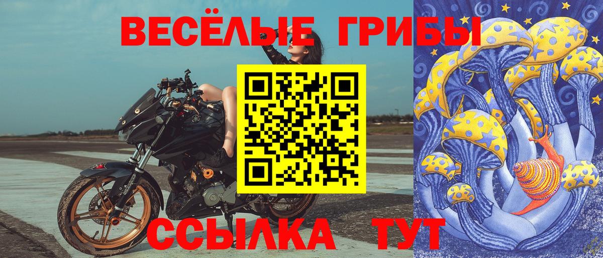 Галлюциногенные грибы MAGIC MUSHROOMS Муром