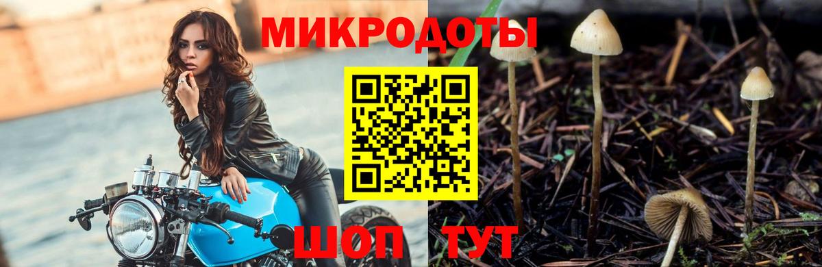 Галлюциногенные грибы мухоморы  Вход с VPN  Псилоцибиновые грибы Psilocybine cubensis  Муром 